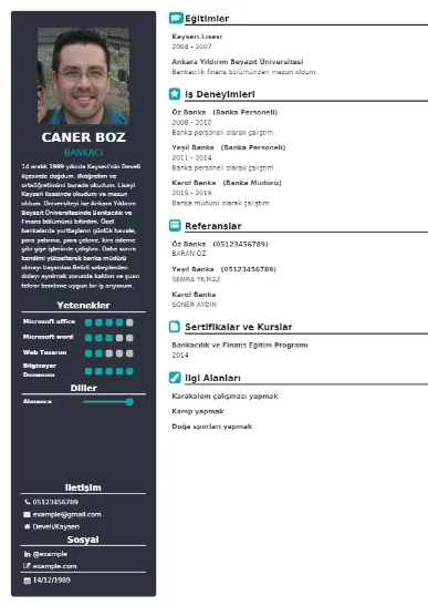 Bankacı Örnek cv indir